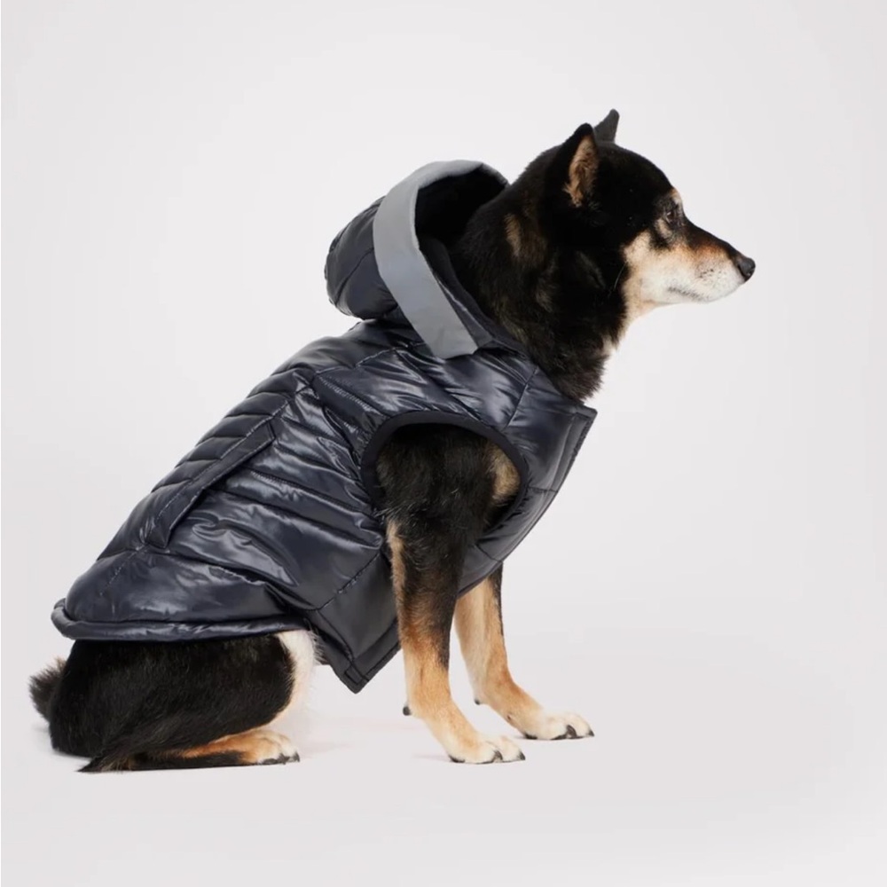 🔥🔥🐶Pajar Miles Multi Quilted Reflective Visor Coat🔥🔥